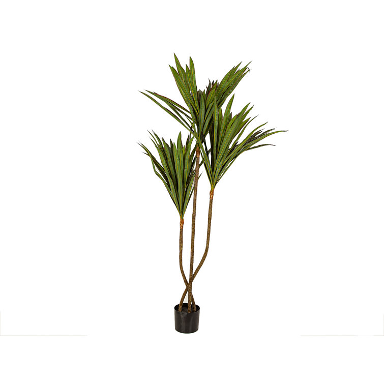 Canora Grey AgathaAlice 160Cm Artificial Palm Tree in Pot Wayfair.co.uk